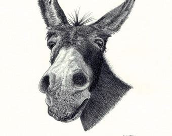 donkey head etsy