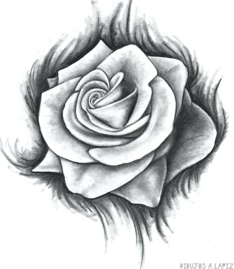 磊 Dibujos De Rosas【 30】fáciles Y Gratis
