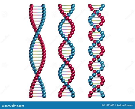 dna chains stock  image