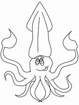 Coloring Pages Squid Ocean Animals Colorear Para Life Printable Scenes Calamares Marine Animal Library Clipart Momjunction Dibujo Toddlers Template Books sketch template