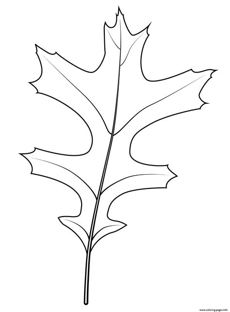 pin oak leaf coloring page printable