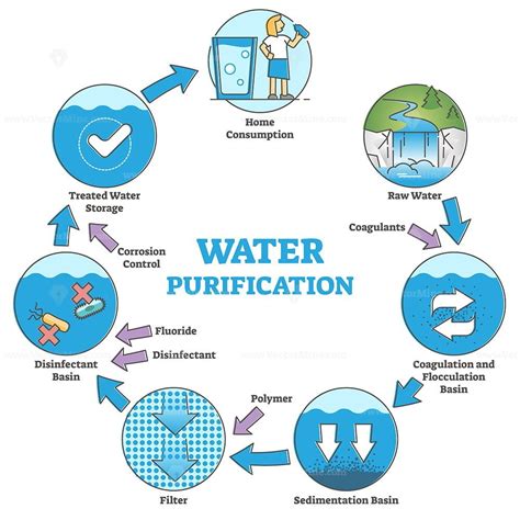 stages  purification  water treatment images   finder