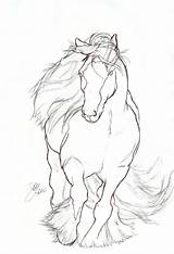 Horse Drawing Easy Gypsy Drawings Vanner Rearing Coloring Pages Pencil Line Sketch Cool Animator Journey Sketches Contour Elipse Getdrawings Form sketch template
