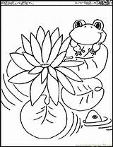 Coloring Lily Pad Pages Flower Printable Popular Kids sketch template