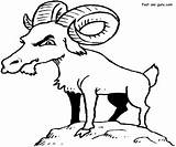 Coloring Printable Pages Goat Billy Animals Print Animal sketch template
