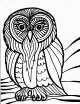 Coloring Pages Bird Owl Printable Birds Owls Kids Book Barn Print Printables Hard House Colouring School Cliparts Simple Toucam Peacock sketch template