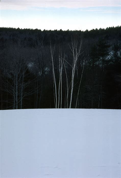 woods winter bristol nh walter etten flickr