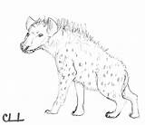 Hyena sketch template