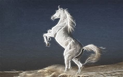 latest fashion trends white stallion horse ipad hd wallpaper