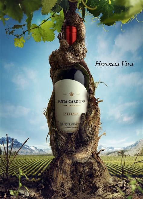 Pin By Cari On Anuncios Publicitarios Wine Advertising Ads Creative