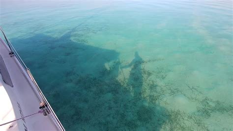 crystal clear water in a dead calm in beautiful bahamas