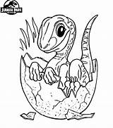 Jurassic Raptor Px sketch template