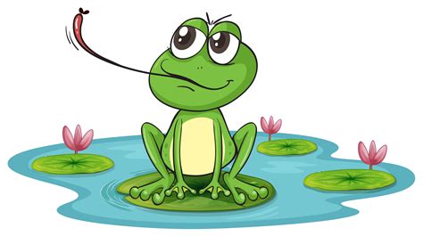 frog  vector art  vecteezy