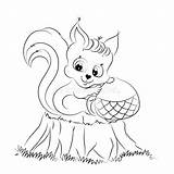 Acorn Squirrel sketch template