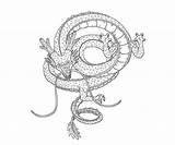 Shenron Dragon Lineart sketch template