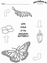 Butterfly Cycle Life Coloring Monarch Worksheet Caterpillar Pages Printable Kids Worksheets Metamorphosis Grade Stages Science Ws Kidzone Drawing Facts Color sketch template