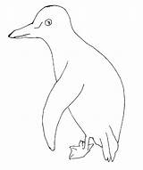 Pinguin Colorat Desene Planse sketch template