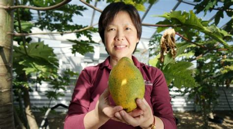 Sex Determining Gene In Papayas Could Lead To Improved Production