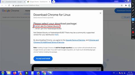 google chrome linux install chrome  linux
