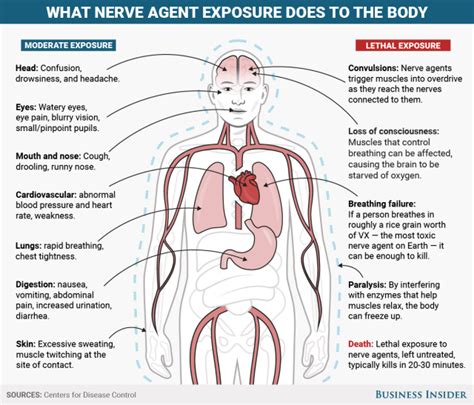 heres  nerve agents      deadly chemicals  earth