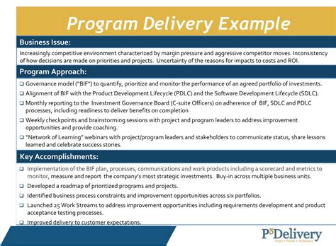 project examples p delivery project process  performance