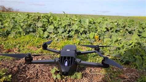 drone monitors crops  capetown farm reduces chemical    percent