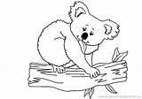 Bear Realistic Coloring Pages Getdrawings sketch template