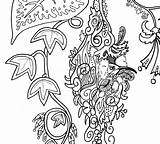 Snuggled Colouring Sunbird Printable sketch template