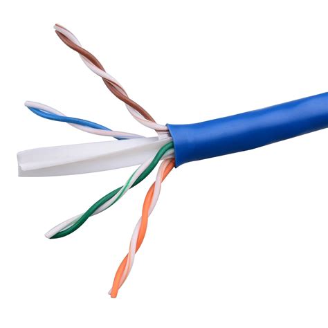 wire cat  cable