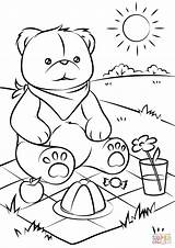Bear Teddy Picnic Coloring Pages Bears Baby Kids Printable Drawing Scene Summer Sketch Easy Color Sheets Children Print Preschool Supercoloring sketch template