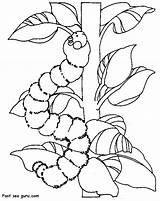 Caterpillar Ilkbahar Boyama Mevsimi Cevapla sketch template