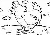 Coloring Pages Kids Birds Hen Application sketch template