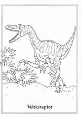 Dinosauri Colorare Pianetabambini Stampa Velociraptor sketch template