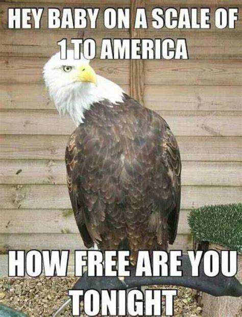 The 25 Best Eagles Memes Ideas On Pinterest The Eagles