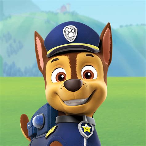 paw patrol pictures wallpaperscom