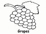 Grapes Coloring Pages Fruits sketch template