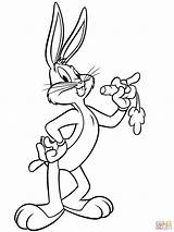 Bugs Bunny Coloring Pages Cartoon Bug Lola Looney Printable Print Toons Carrot Computer Gangster Tunes Clipart Color Drawn Colouring Drawing sketch template