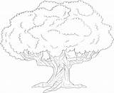 Tree Life Coloring Pages Comments sketch template