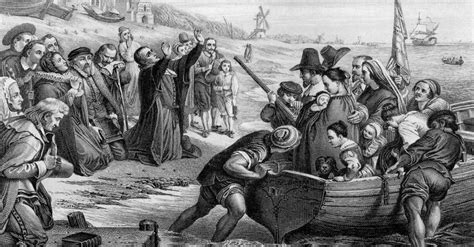 pilgrims   puritans