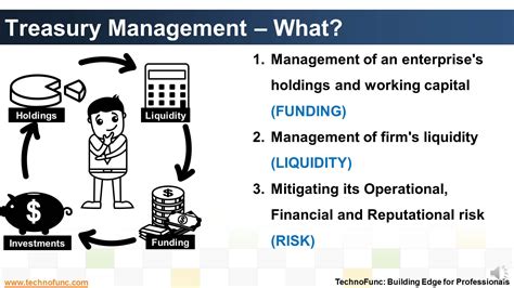 technofunc treasury management