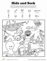 Seek Hidden Worksheets Hide Printable Ocean Preschool Grade Kids Kindergarten Printables Coloring Activities Worksheet Objects Find Fish Animals First Summer sketch template