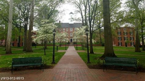 Ohio University Suspended All 15 Of Its Ifc Fraternities After Seven Of