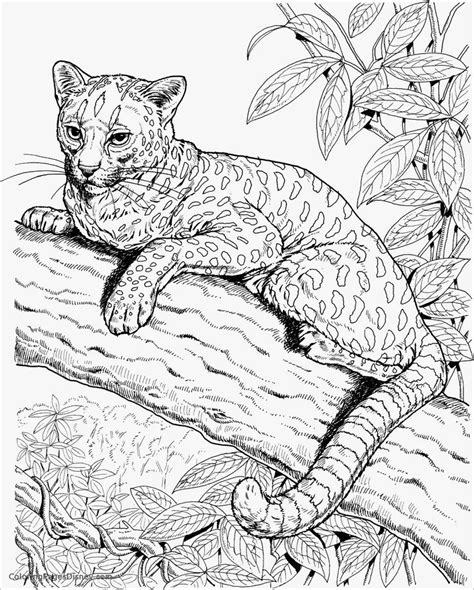 cheetah coloring pages animal coloring books mermaid coloring pages