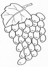 Mewarnai Anggur Paud Untuk Buahan Marimewarnai Diwarnai sketch template