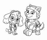 Skye Paw Patrol Everest Kleurplaat sketch template