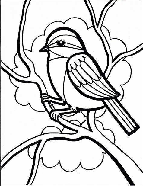 bird coloring pages    clipartmag