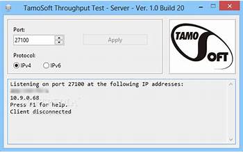 TamoSoft Throughput Test screenshot #3