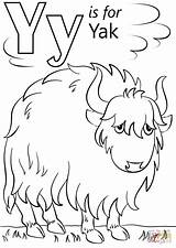 Coloring Yak Letter Pages Printable Color Preschool Alphabet Yo Kids Supercoloring Crafts Colouring Super Sheets Kindergarten Activities Animal Template Drawing sketch template