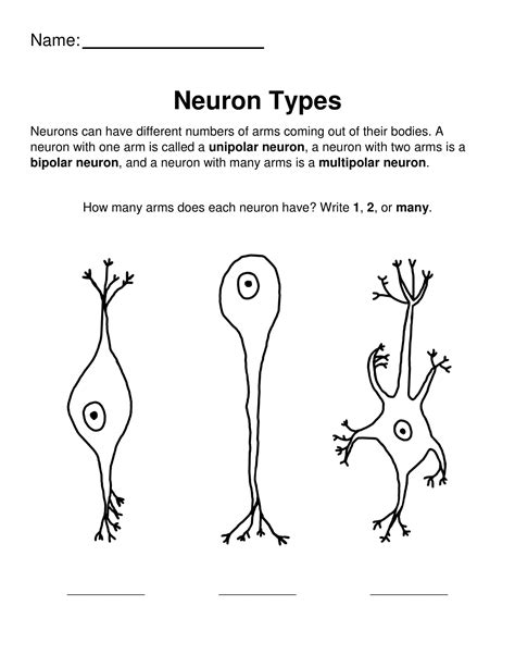 neuron coloring page debbidakarai