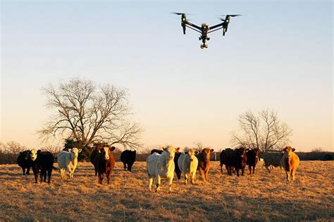 applications  drone technology  agricultural